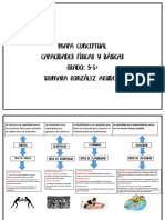 Mapa Conceptual Sobre Las Capacidades Básicas y Fisicas