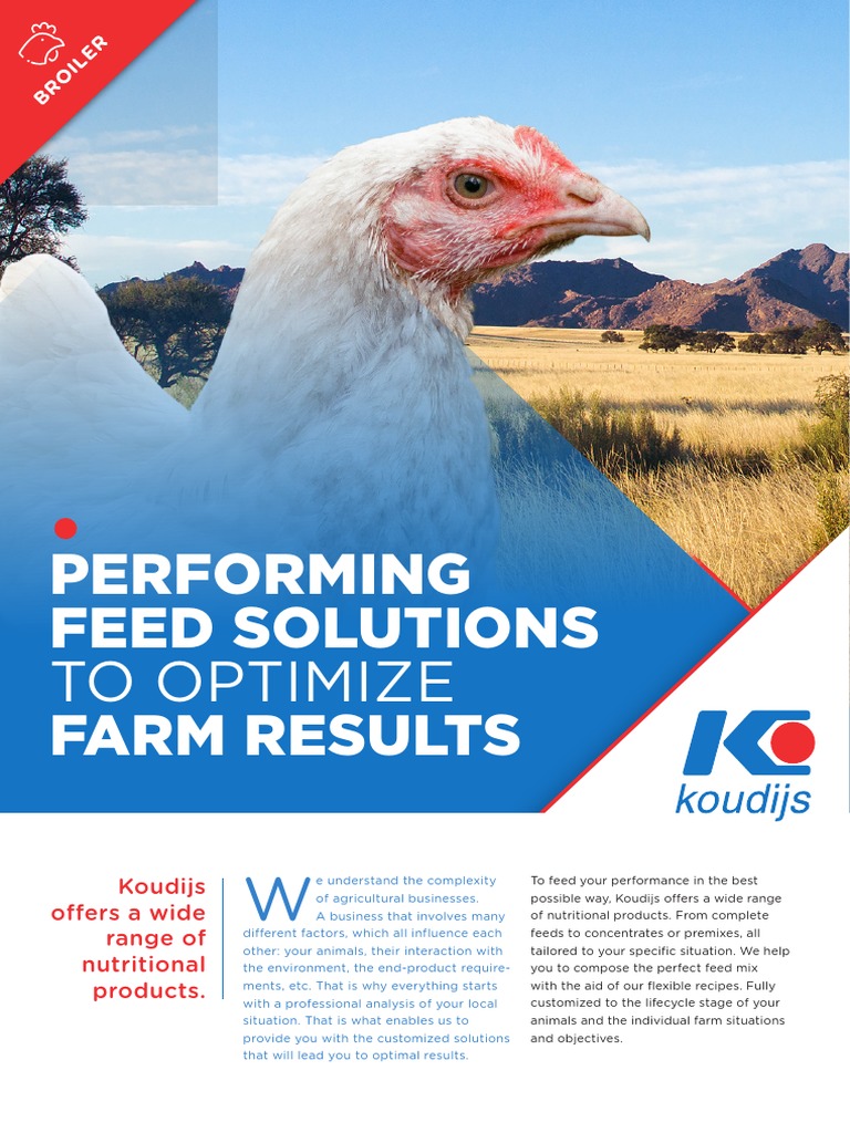 Brochure Broilers KBC 10 | PDF | Broiler | Farms