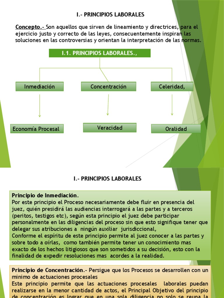 Principios y Competencia en Justicia Laboral | PDF | Ley procesal ...
