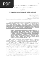 A Organização do Sistema de Saúde no Brasil