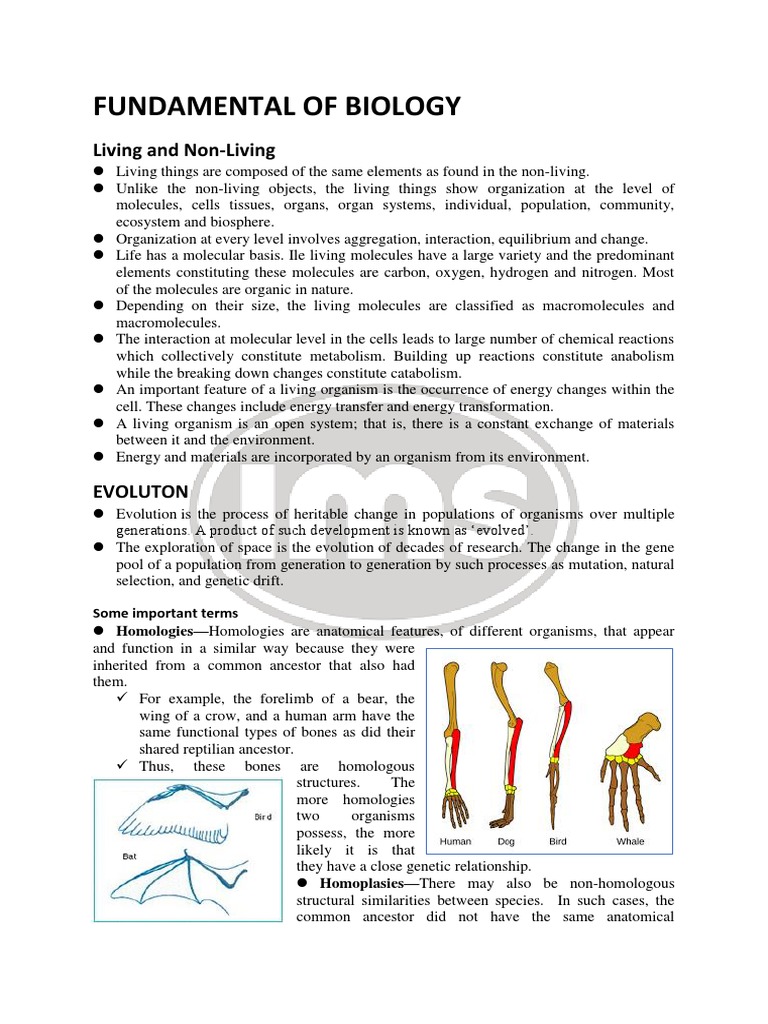 Fundamental of Biology: Living and Non-Living | PDF | Metabolism | Cell ...