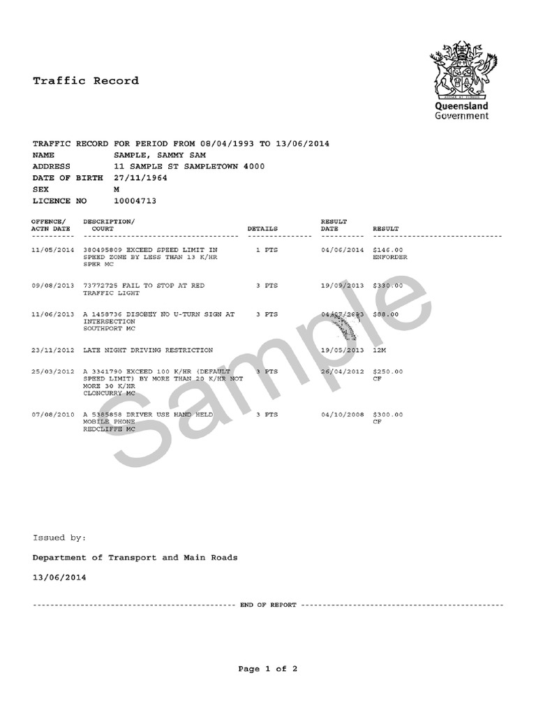 Sample Traffic History Online Report | PDF