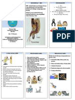 TUGAS KMB II Leaflet BPH