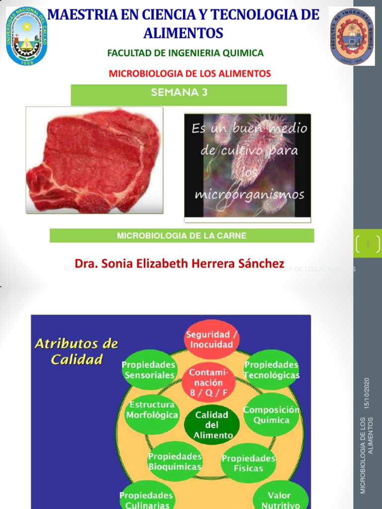 Microbiología y Conservación de la Carne | PDF | Conservación de los ...