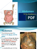 Abdomen For PH