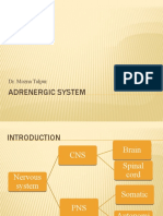 Adenergic System