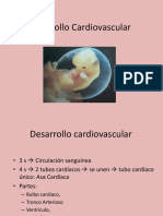 CLASE 3 DESARROLLO APARATO CARDIOVASCULAR