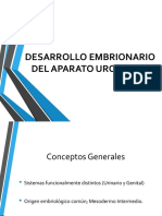 CLASE 4 DESARROLLO APARATO UROGENITAL