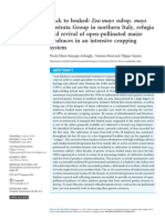 Back To Beaked: Zea Mays Subsp. Mays Rostrata Group in Northern Italy, Refugia and Revival of Open-Pollinated Maize Landraces in An Intensive Cropping System