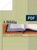 A Bíblia - Qual E a Sua Mensagem - bm_T