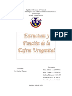 Estructura y Funcion de La Esfera Urogenital