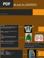 Prehn Sign | PDF | Sexual Anatomy | Male Genital Disorders