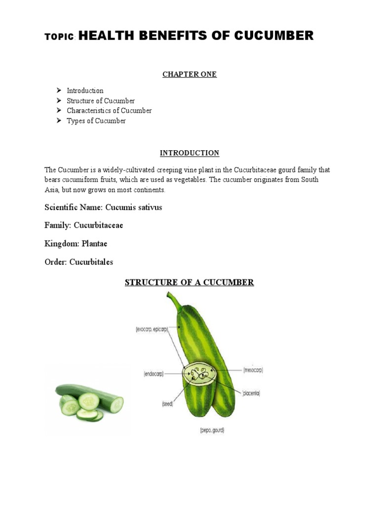 The Many Health Benefits of Cucumbers Nutritional Facts, Types of