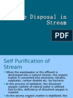 Waste Disposal and Stream Self Purification