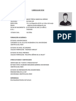 CURRICULUM VITAE 2020