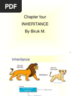 Chapter Four Inheritance by Biruk M