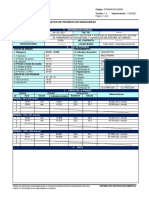 H7 - Registro de Pruebas de Manguera