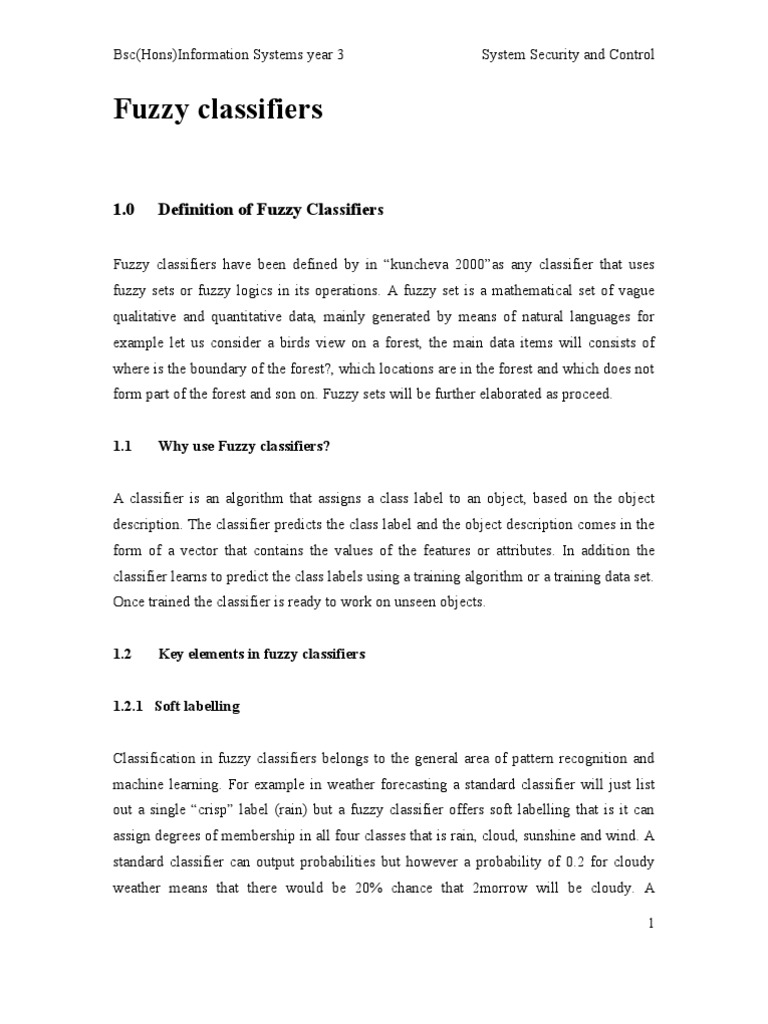 1.0 Definition of Fuzzy Classifiers | PDF