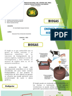 Biogas Minihidraulica