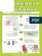 Verde Líneas Fotosíntesis Biología Infografía