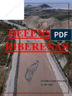 2do Trabajo de Defensas Ribereñas