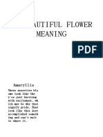 50 Beautiful Flower Meaning