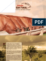 Brochure Cabaña San Pablo