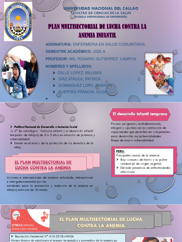 Plan Multisectorial contra la Anemia Infantil | PDF | Anemia | Enfermería
