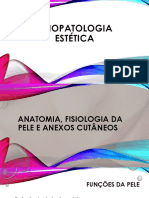 2A - Fisiologia Da Pele e Anexos Cutâneos-2