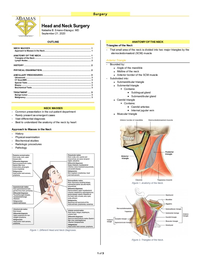 Neck Mass Diagnosis Guide | PDF | Neck | Common Carotid Artery