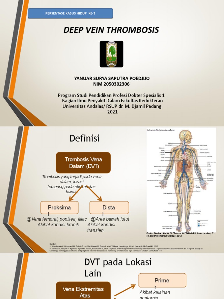 Kasus DVT pada Pasien Usia Lanjut | PDF | Sains & Matematika