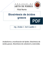175626953-Biosintesis-de-acidos-grasos