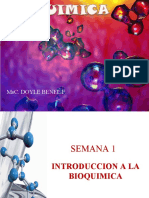 Bioquimica Introduccion