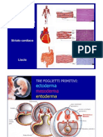 2008-09 Tessuto Muscolare