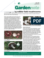 GN Recognising Edible Field Mushrooms 2011