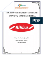 Phân tích hoạt động kinh doanh doanh nghiệp BIBICA