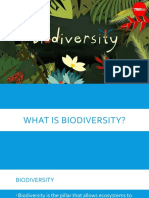 5 Ways To Conserve Biodiversity