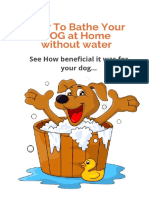 How To Bathe Your Dog at Home Without Water