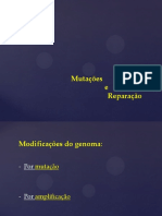 Mutações, reparação do ADN e papel do gene p53