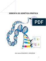 Genética Prática: Conceitos Básicos e Análise Genealógica