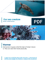 Our Sea Creature's