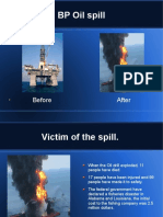BP Oil Spill: Before After