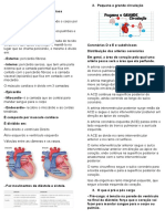 Fisiologia e Anatomia Cardíaca