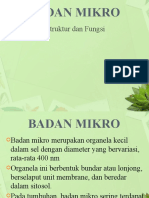 Badan Mikro