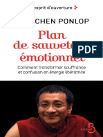 Plan de Sauvetage Émotionnel - Dzogchen Ponlop Rinpoché