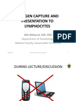 Antigen Capture and Presentation To Lymphocytes