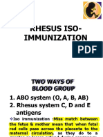 Rhesus Iso-Immunization