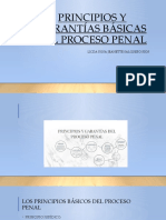 Principios y garantías del proceso penal