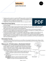 Tutoria 3 - Sistema Nervoso Autônomo