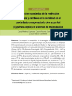 004 - Espinoza E.A. (2019) - Evaluación Económica de La Restricción Alimenticia y Cambios en La Densidad en El Crecimiento Compensatorio de Carpas Koi (Cyprinus Carpio) en Sistemas de Recirculación